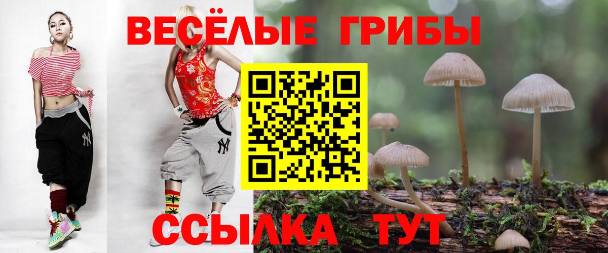 Псилоцибиновые грибы мицелий  Галлюциногенные грибы MAGIC MUSHROOMS  Верхний Уфалей  где купить наркоту  Вход с VPN 
